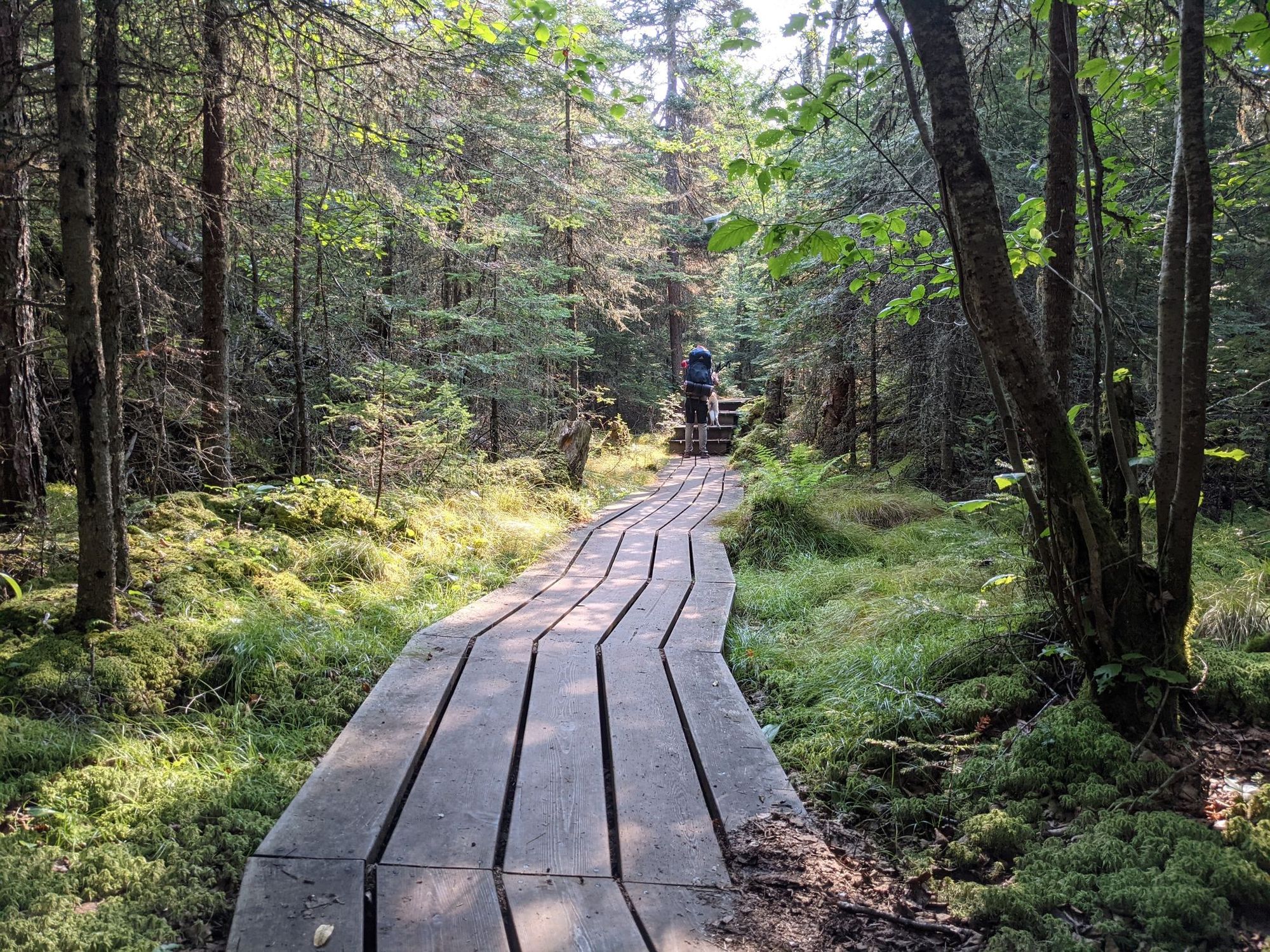 Reflecting on my Pukaskwa National Park (2022) Trip